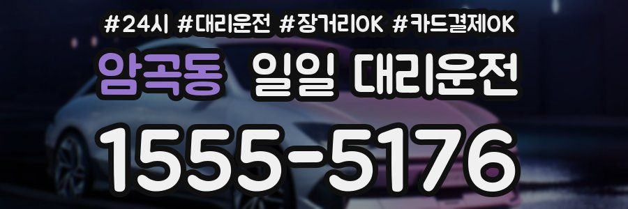 암곡동 일일 대리운전