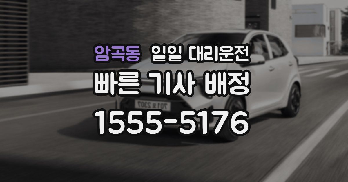 암곡동 일일 대리운전