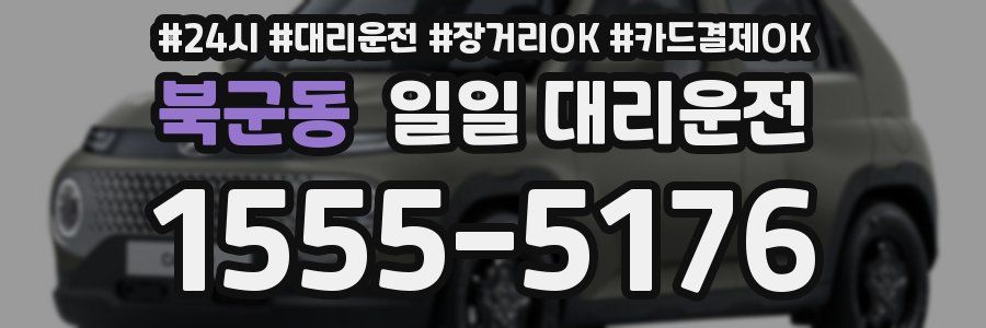 북군동 일일 대리운전