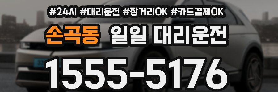 손곡동 일일 대리운전