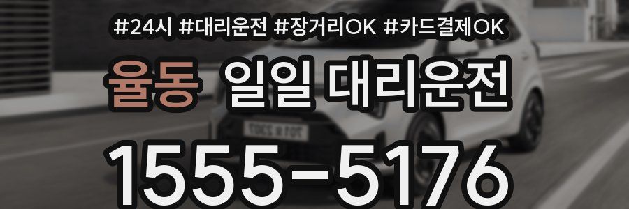 율동 일일 대리운전