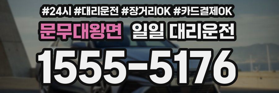문무대왕면 일일 대리운전