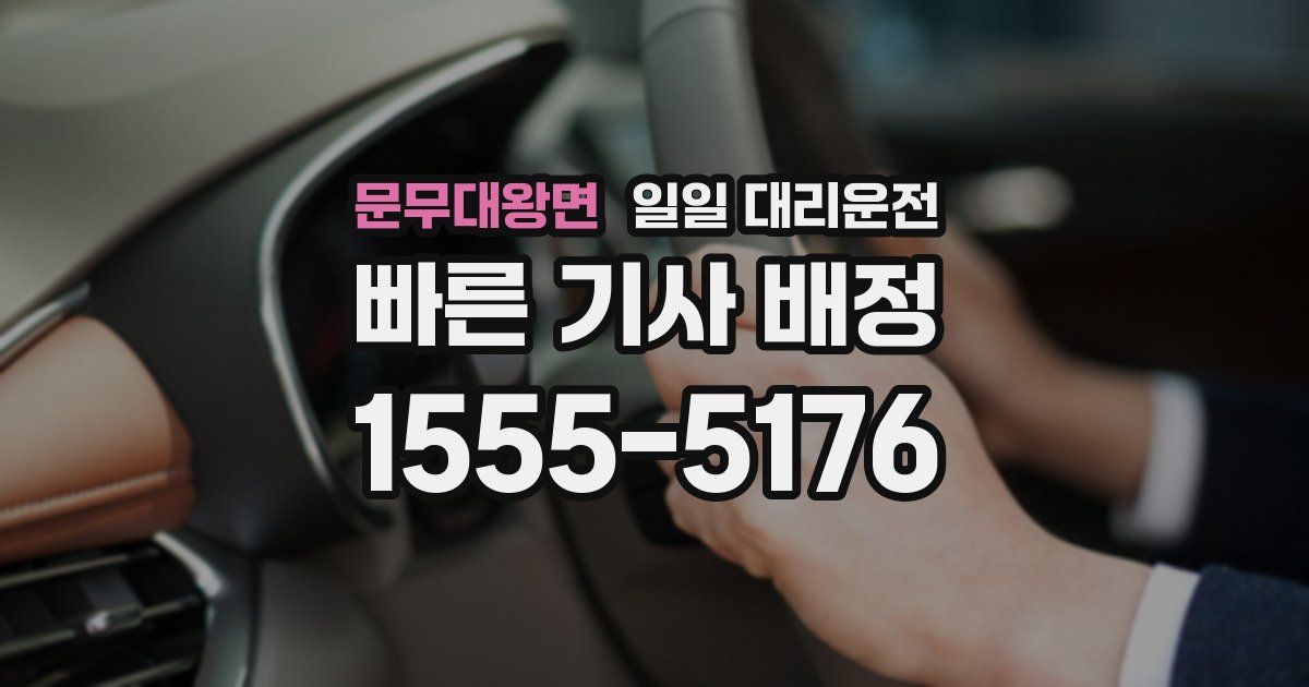 문무대왕면 일일 대리운전