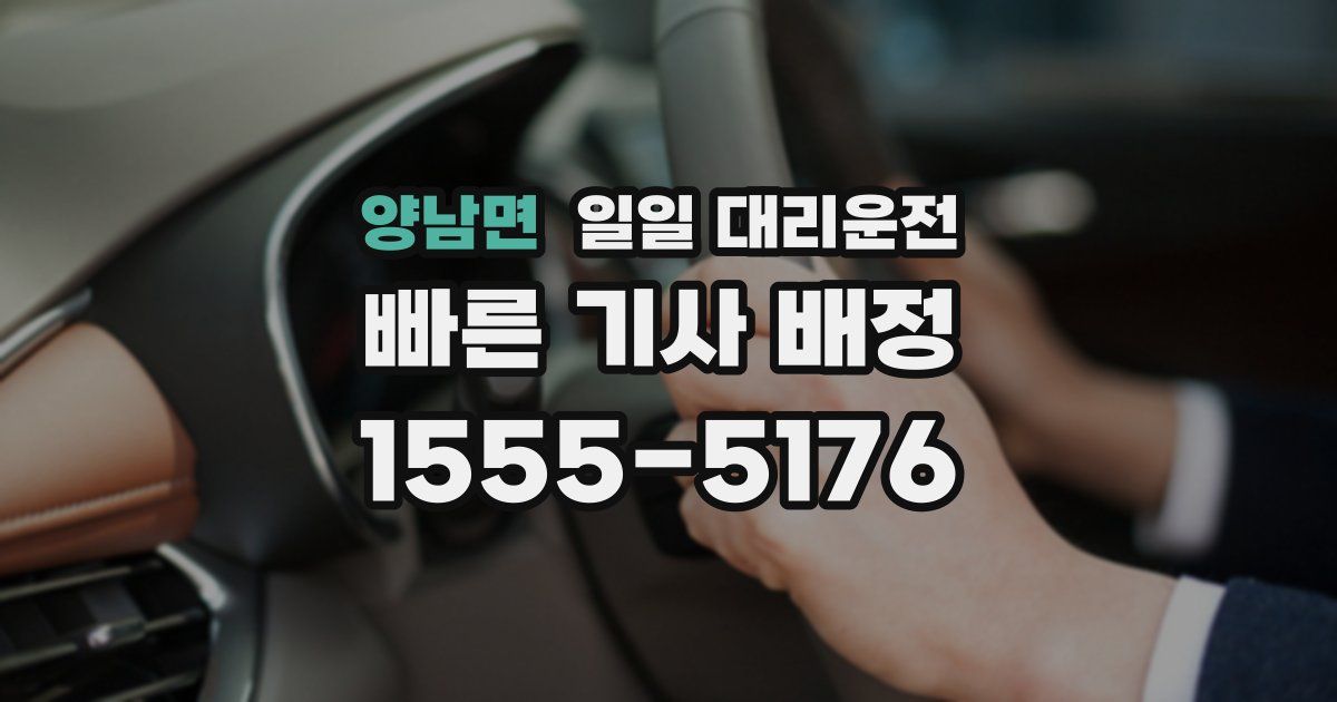 양남면 일일 대리운전