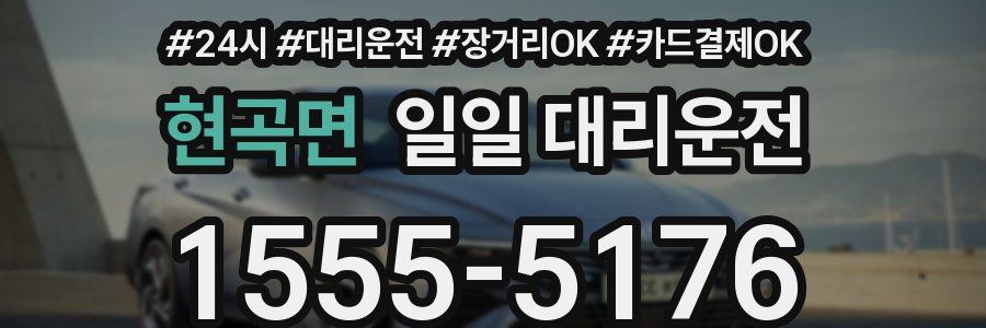 현곡면 일일 대리운전