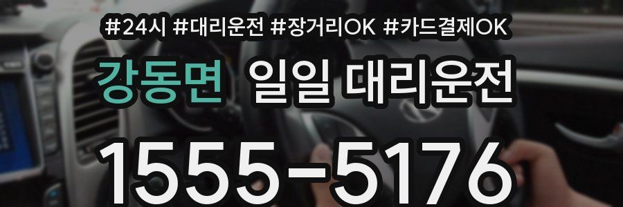 강동면 일일 대리운전