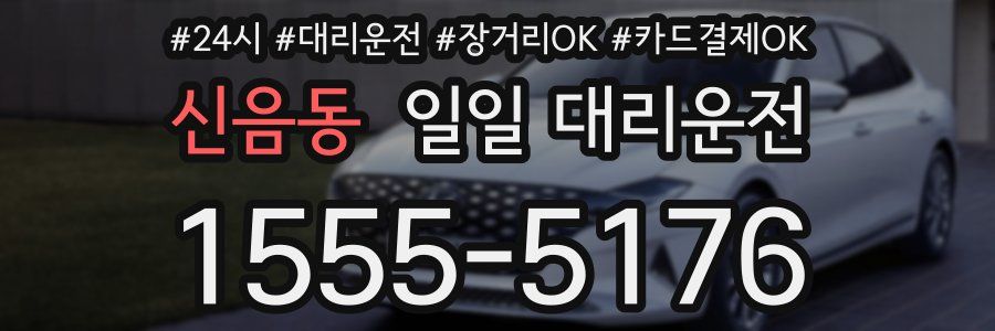신음동 일일 대리운전