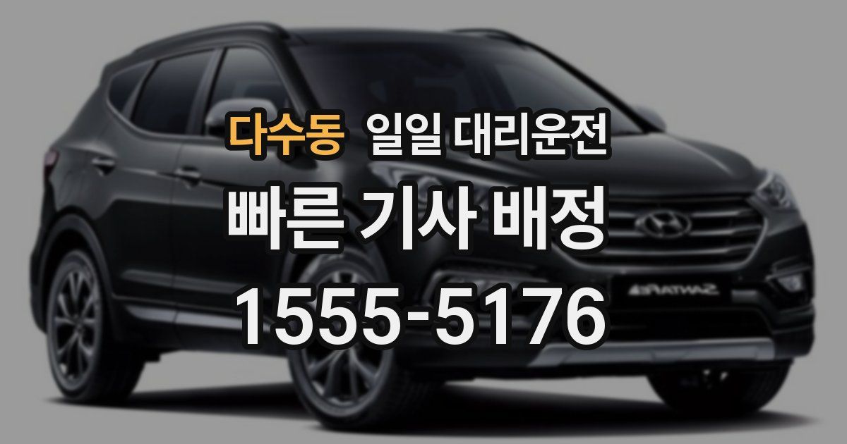 다수동 일일 대리운전