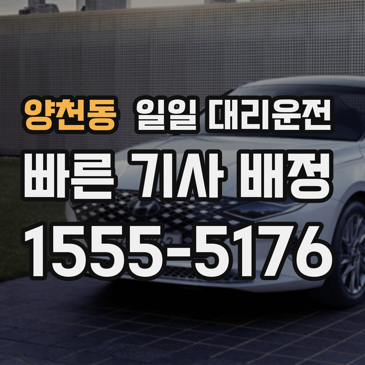 양천동 일일 대리운전