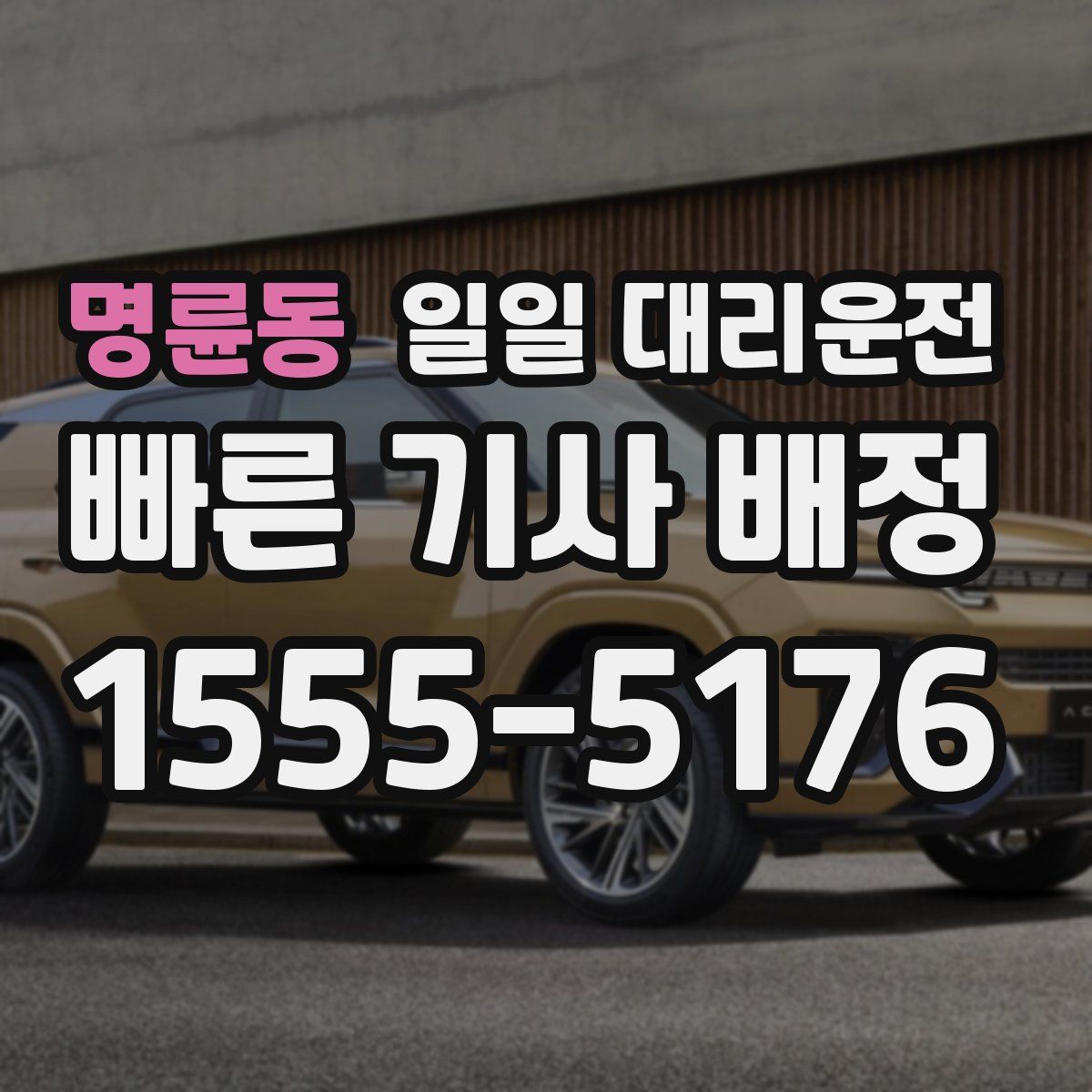 명륜동 일일 대리운전