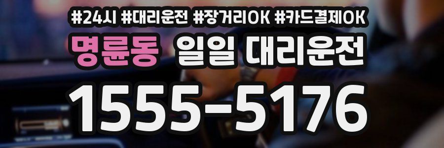 명륜동 일일 대리운전
