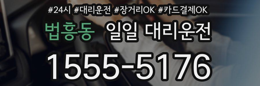 법흥동 일일 대리운전