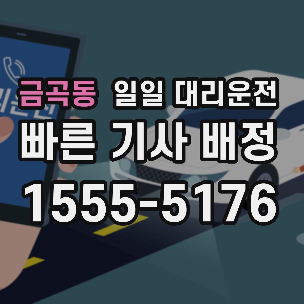 금곡동 일일 대리운전