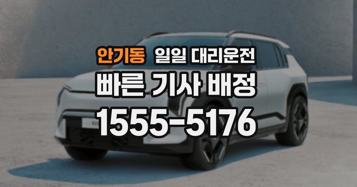 안기동 일일 대리운전