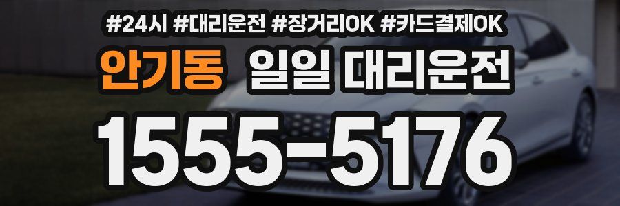 안기동 일일 대리운전
