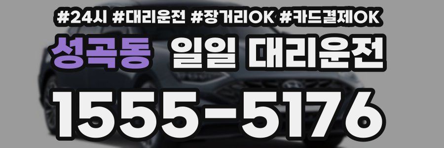 성곡동 일일 대리운전