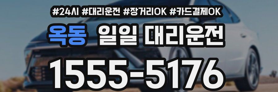 옥동 일일 대리운전