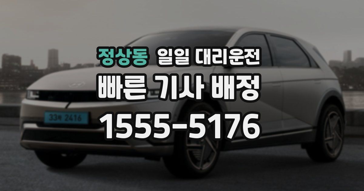정상동 일일 대리운전