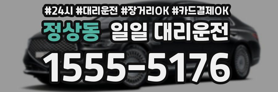 정상동 일일 대리운전