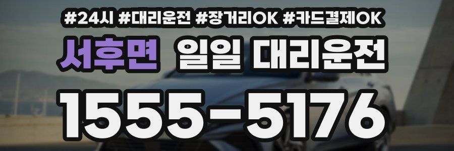 서후면 일일 대리운전