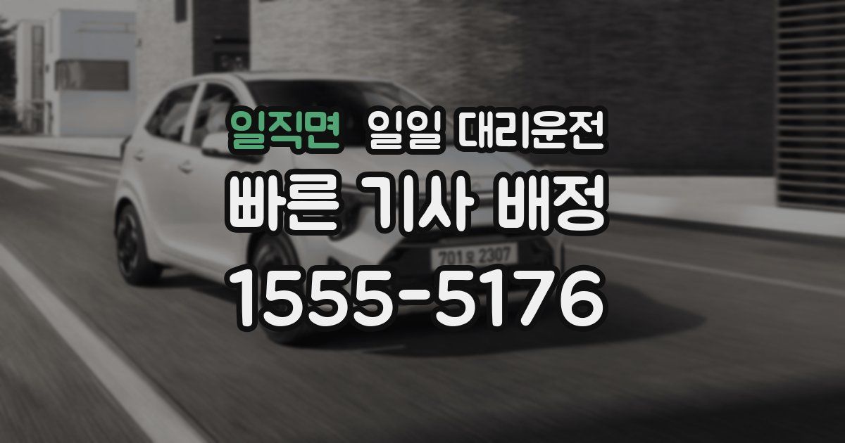 일직면 일일 대리운전