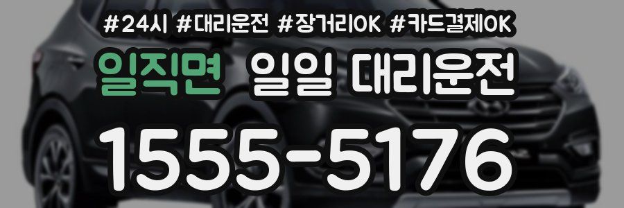 일직면 일일 대리운전