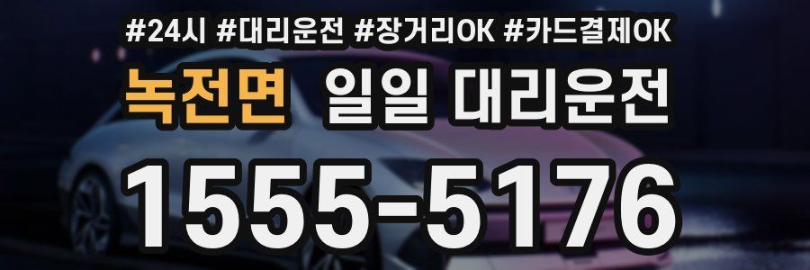 녹전면 일일 대리운전