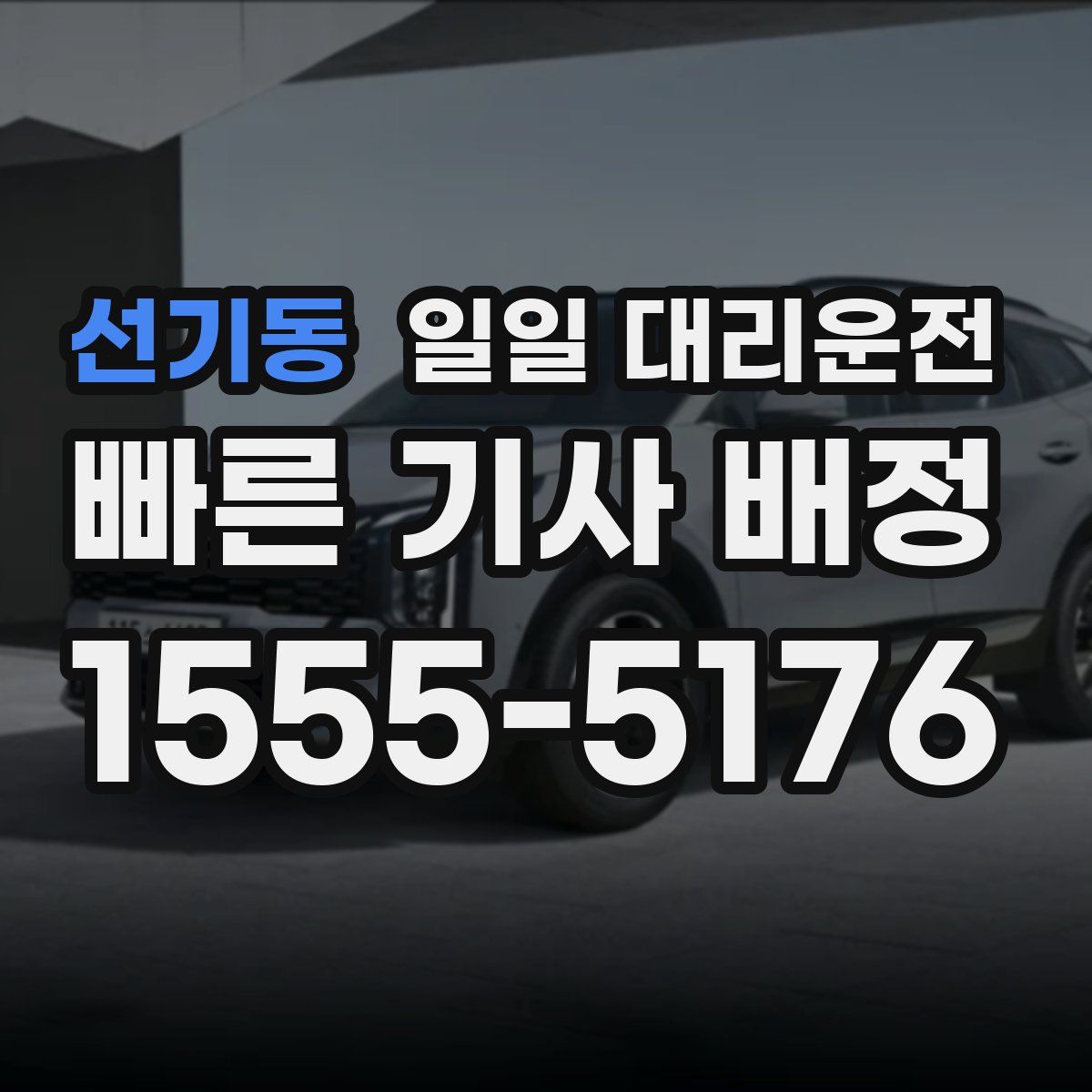 선기동 일일 대리운전