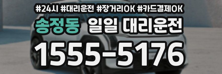 송정동 일일 대리운전