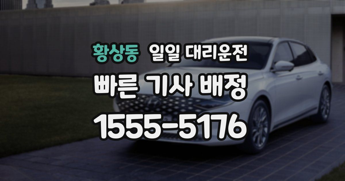 황상동 일일 대리운전