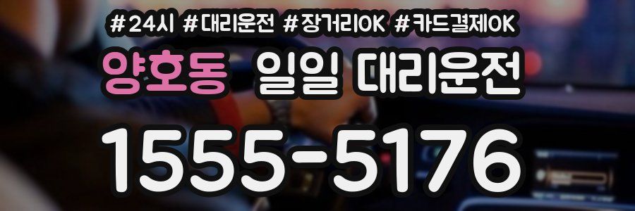 양호동 일일 대리운전