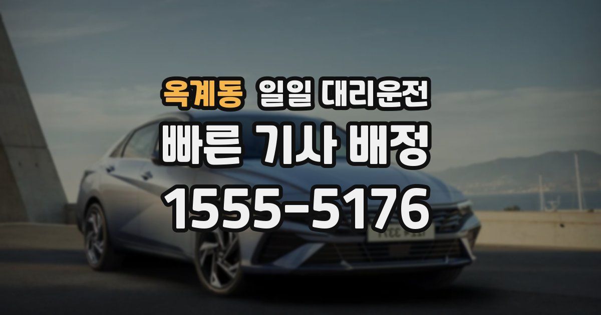 옥계동 일일 대리운전