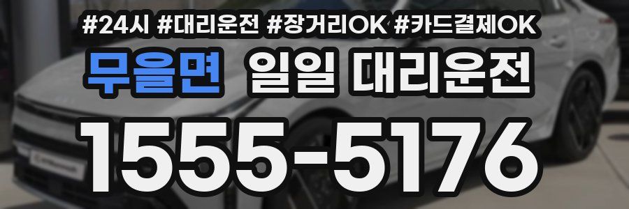 무을면 일일 대리운전