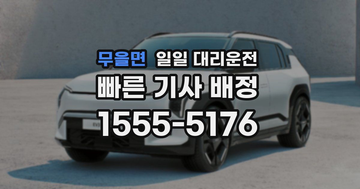 무을면 일일 대리운전