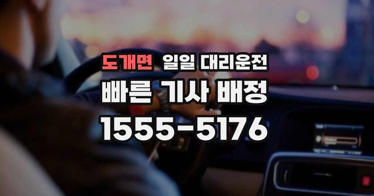 도개면 일일 대리운전