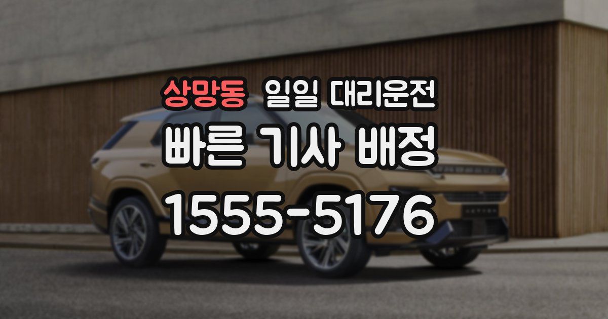 상망동 일일 대리운전