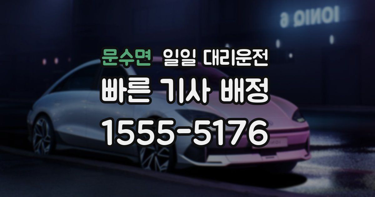 문수면 일일 대리운전
