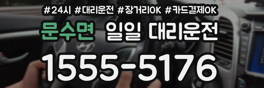 문수면 일일 대리운전