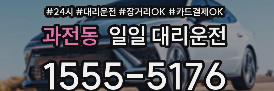 과전동 일일 대리운전
