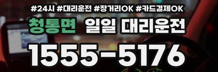 청통면 일일 대리운전