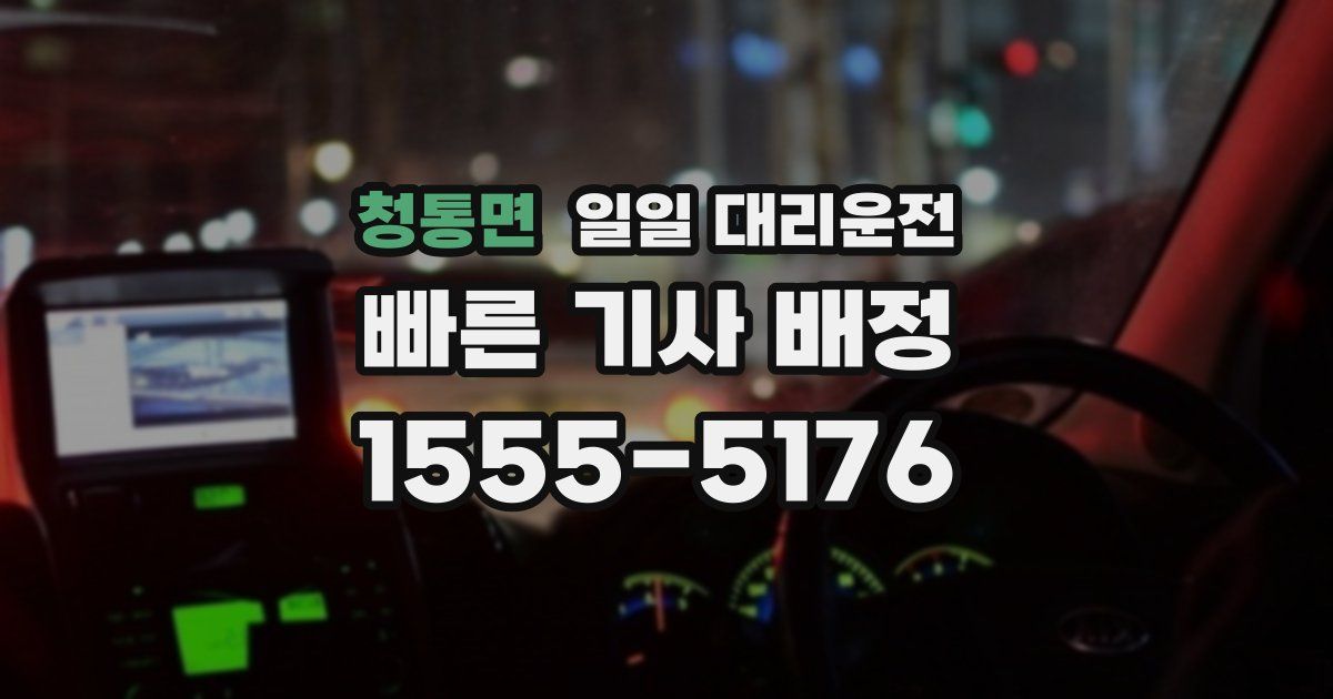 청통면 일일 대리운전