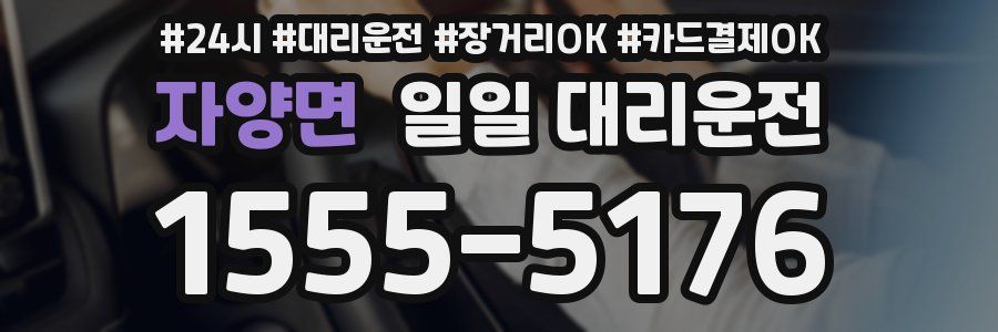 자양면 일일 대리운전