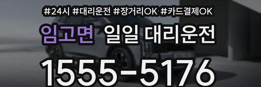 임고면 일일 대리운전