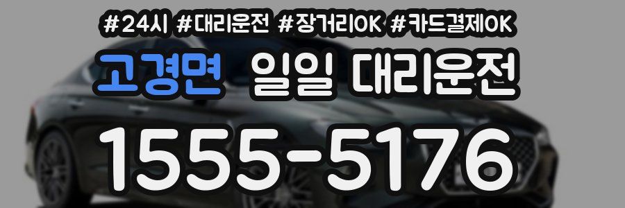 고경면 일일 대리운전