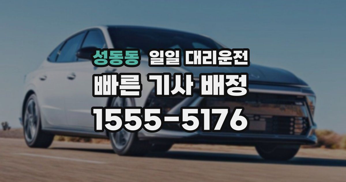 성동동 일일 대리운전