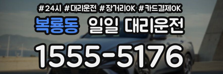 복룡동 일일 대리운전