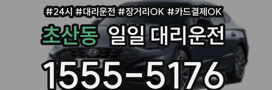 초산동 일일 대리운전