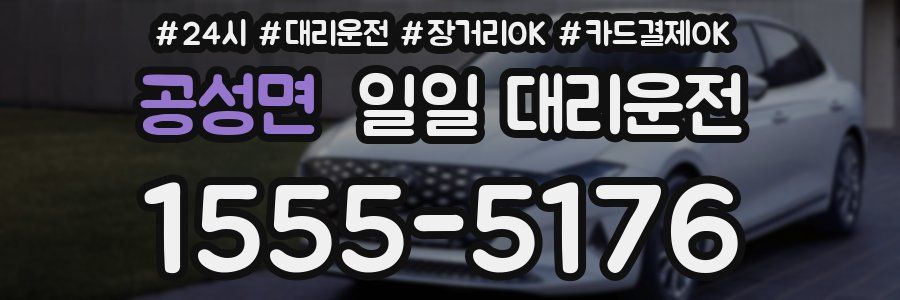 공성면 일일 대리운전