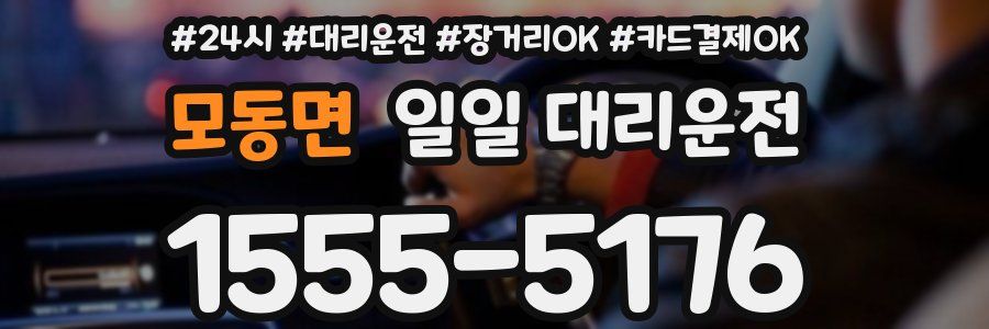 모동면 일일 대리운전