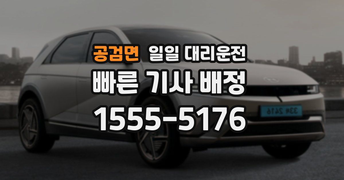 공검면 일일 대리운전